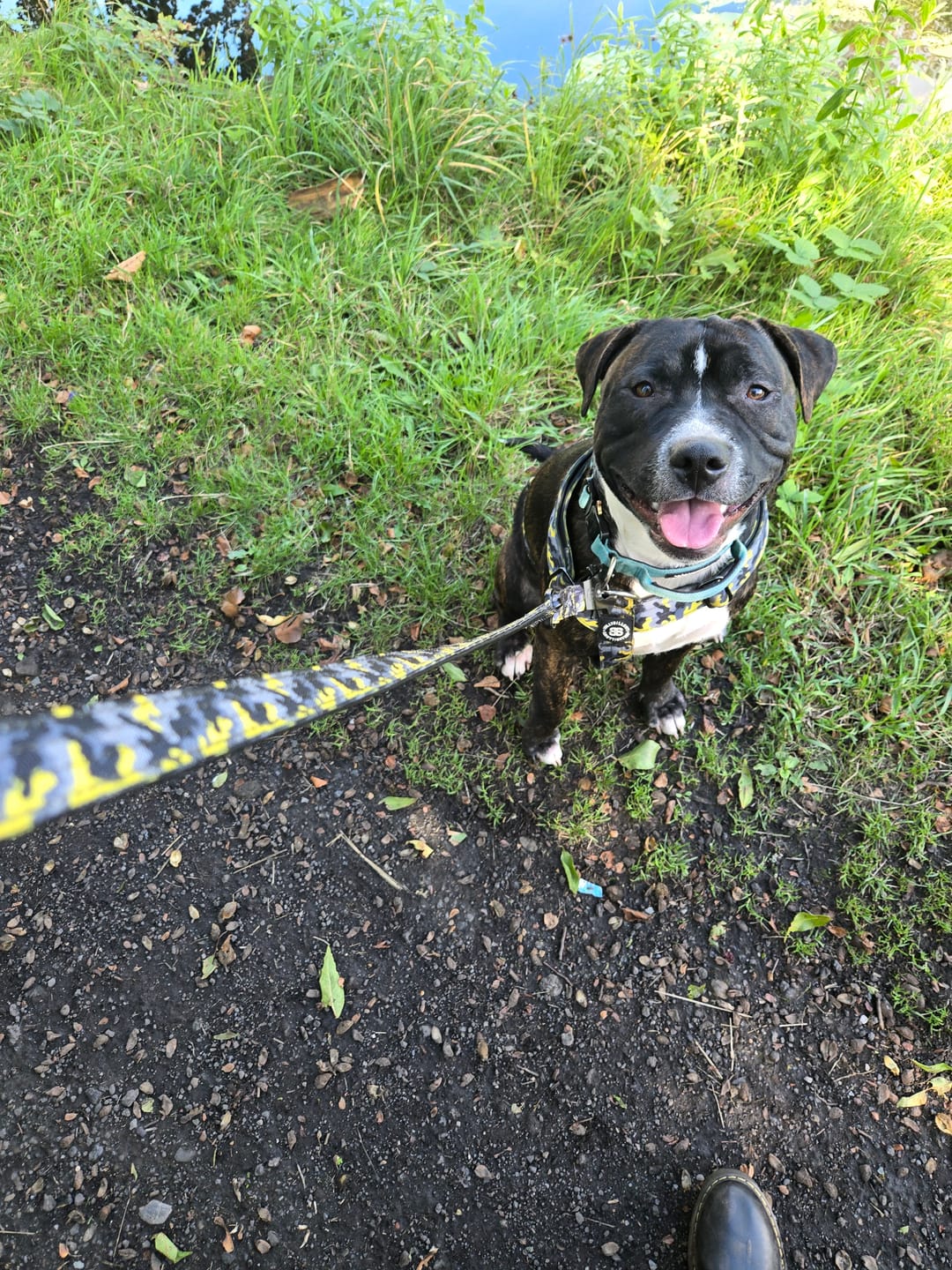 Customer photo review of 1.4m Swivel Combat Lead | Anti-Tangle & Secure Clip - Lightning