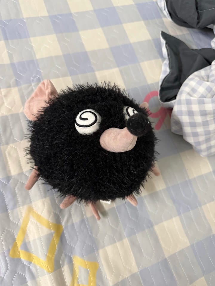 Customer photo review of Mody Mouse