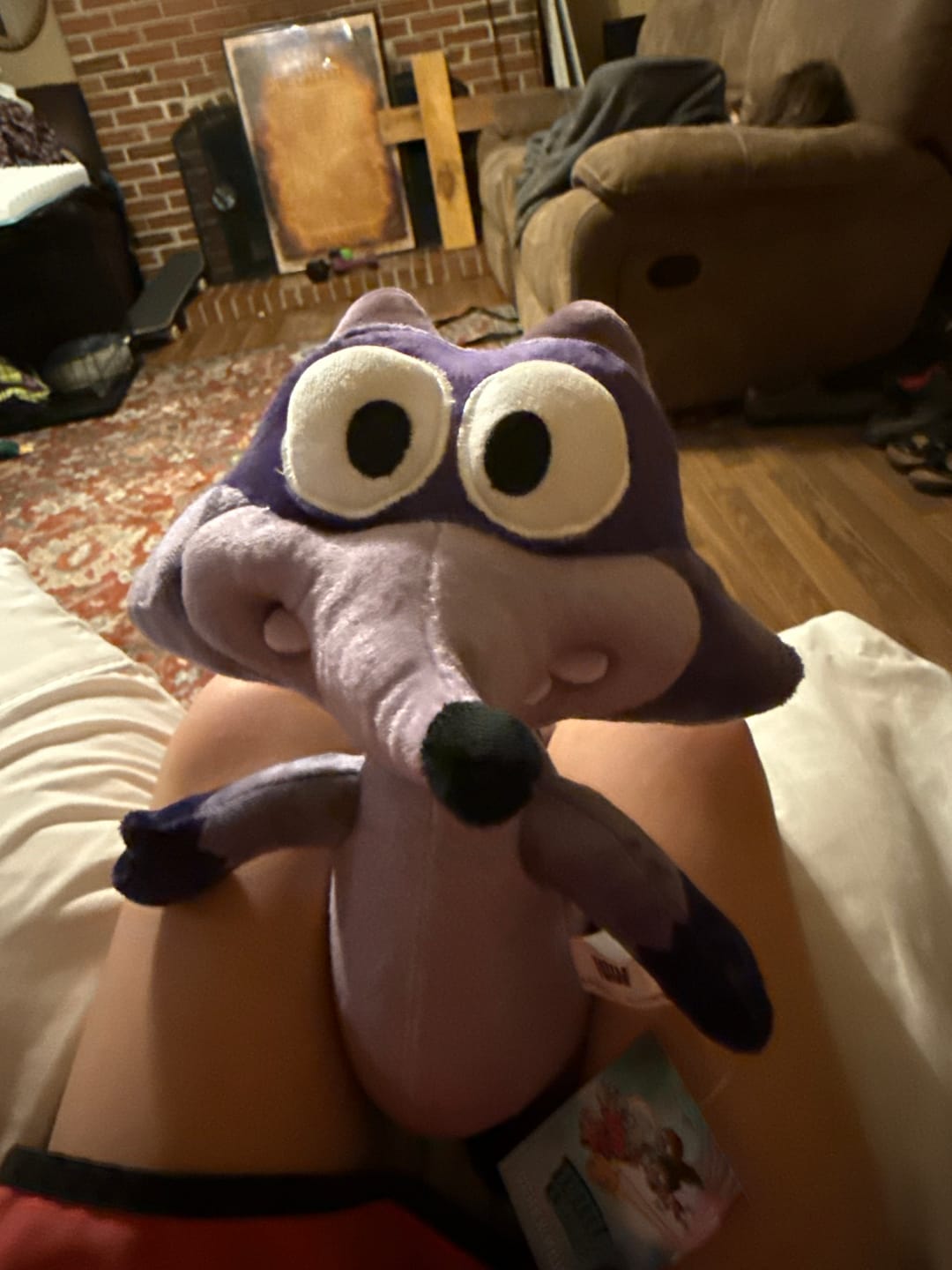 Customer photo review of Original Derek Plushie