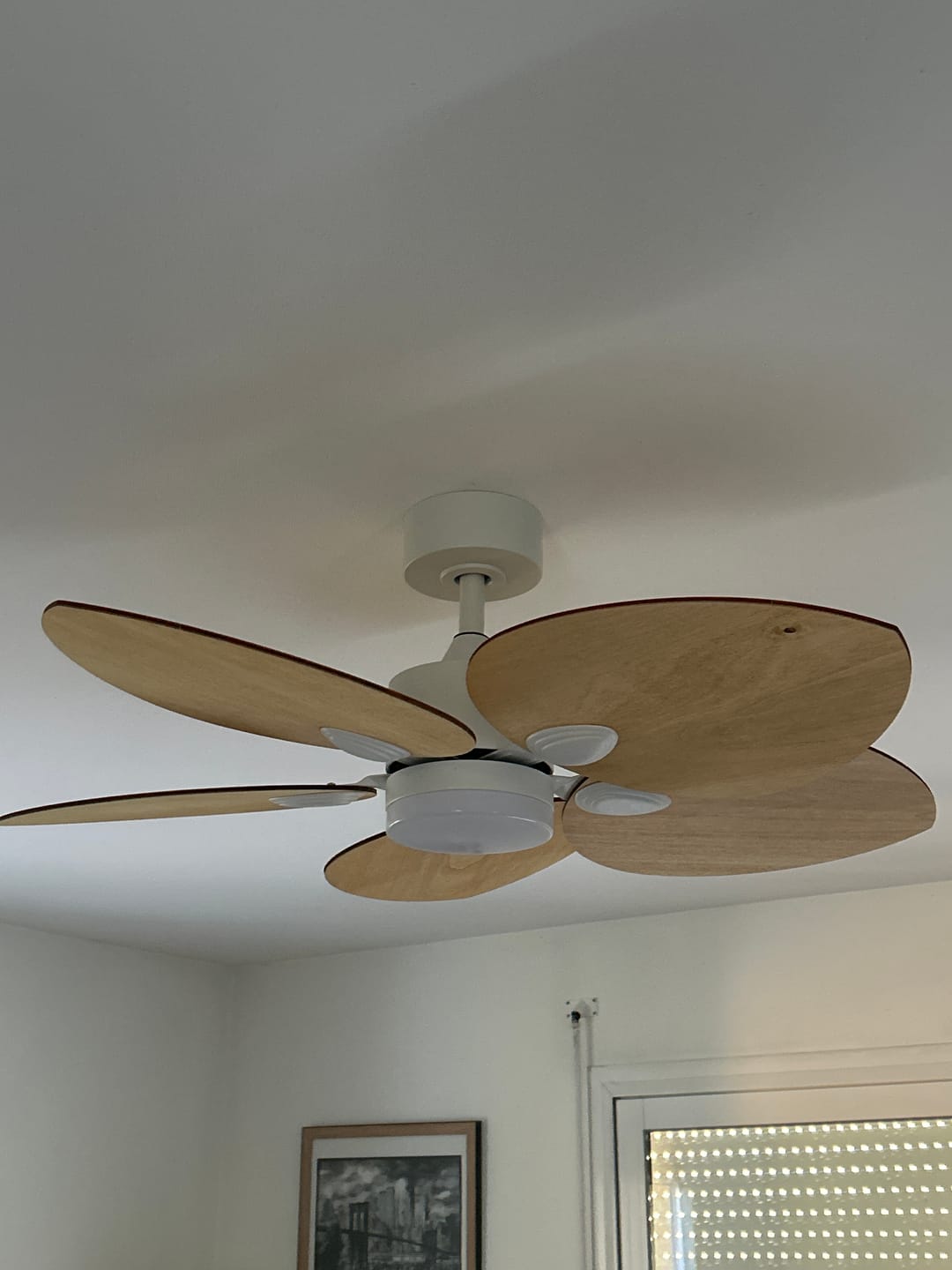 Customer photo review of Dahlia teinté Chêne | Ventilateur de plafond