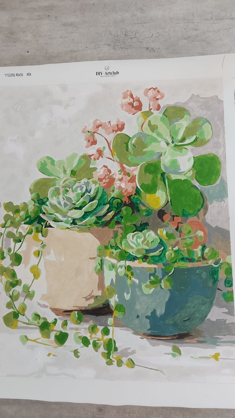 Customer photo review of Spring Succulents | Paint by Number