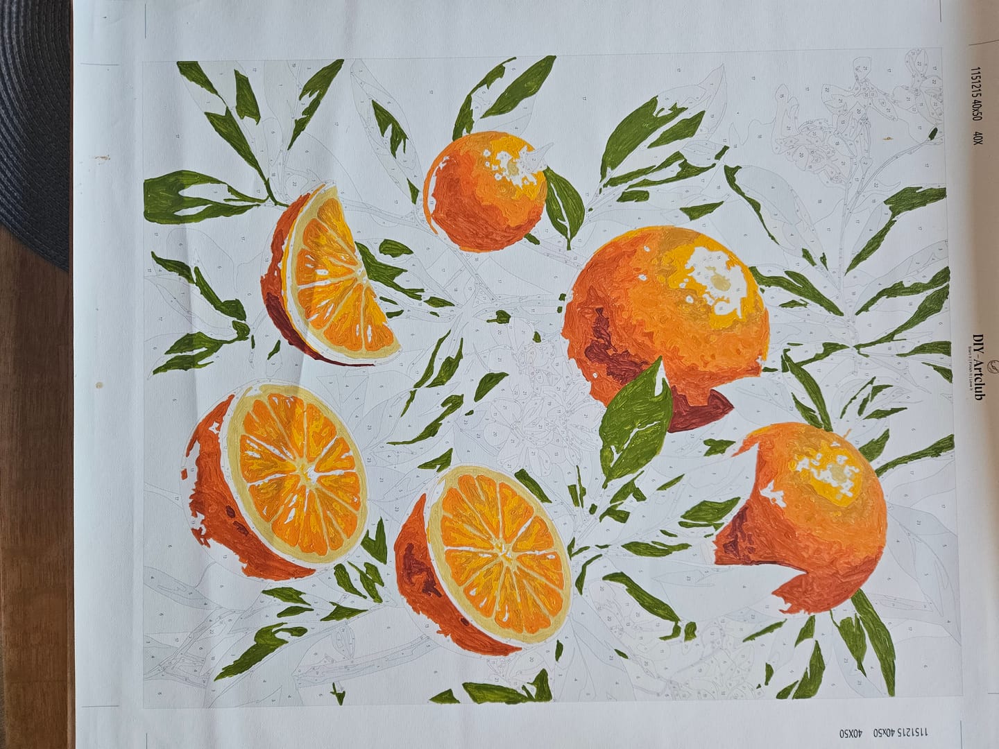 Customer photo review of Blooming Oranges | Paint by Number