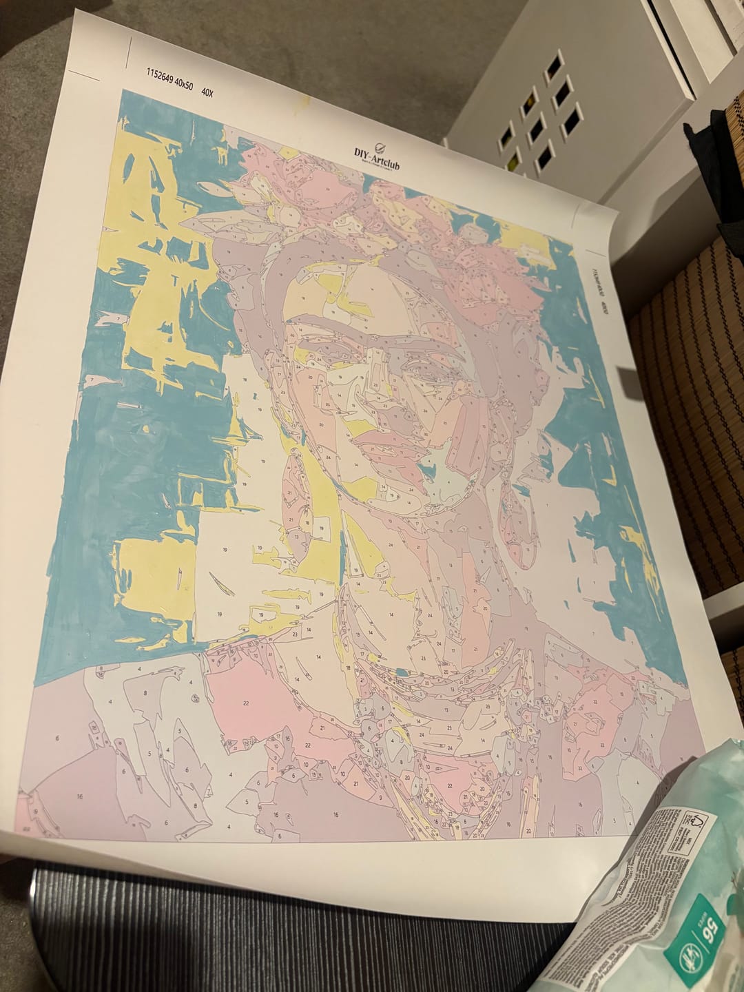 Customer photo review of Expressive Frida | Paint by Number