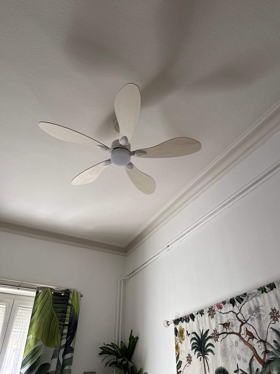 Customer photo review of Libellule | Ventilateur de plafond