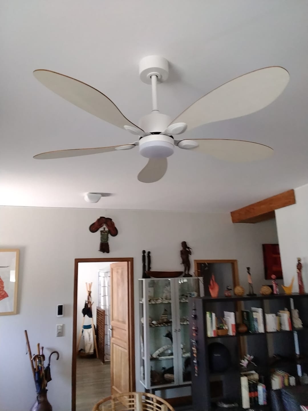 Customer photo review of Libellule | Ventilateur de plafond