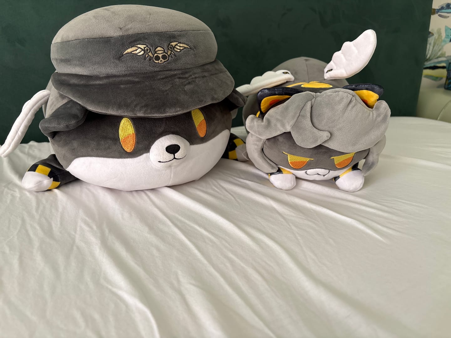 Customer photo review of V Cat Plush