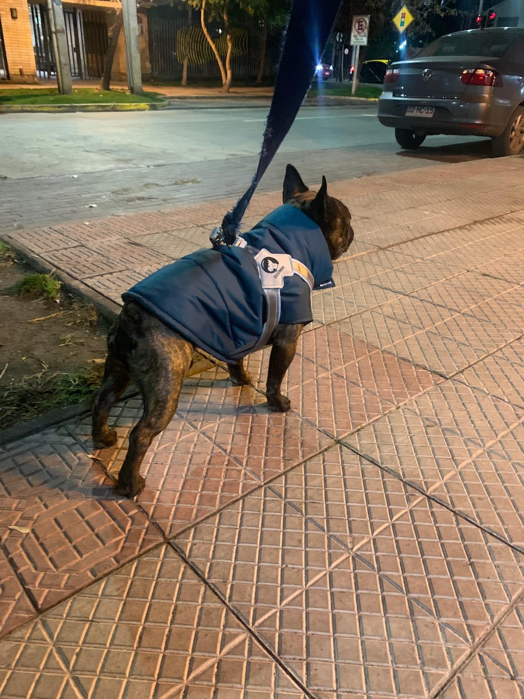 Customer photo review of Chaqueta Puffer de Invierno – Verde