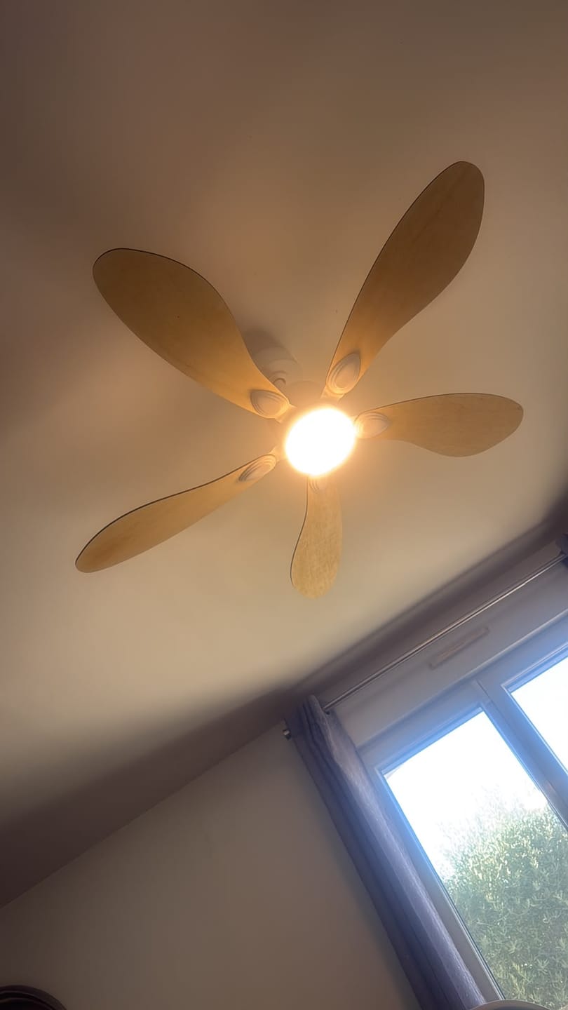 Customer photo review of Libellule teinté Chêne | Ventilateur de plafond – Ø 137 cm