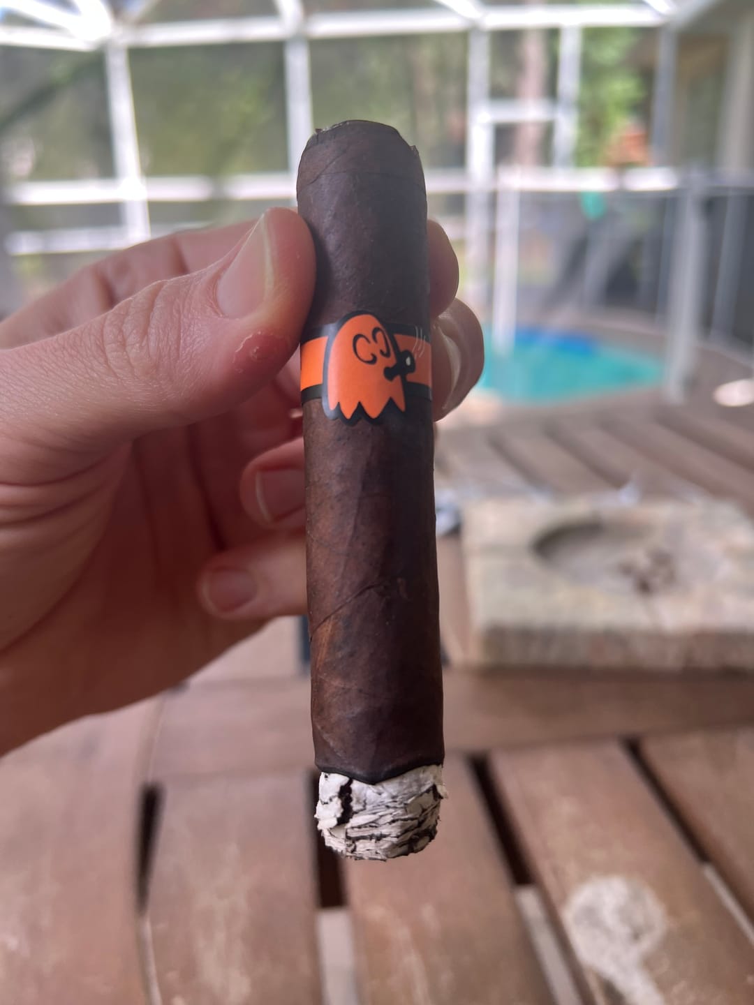 Customer photo review of The Mascot