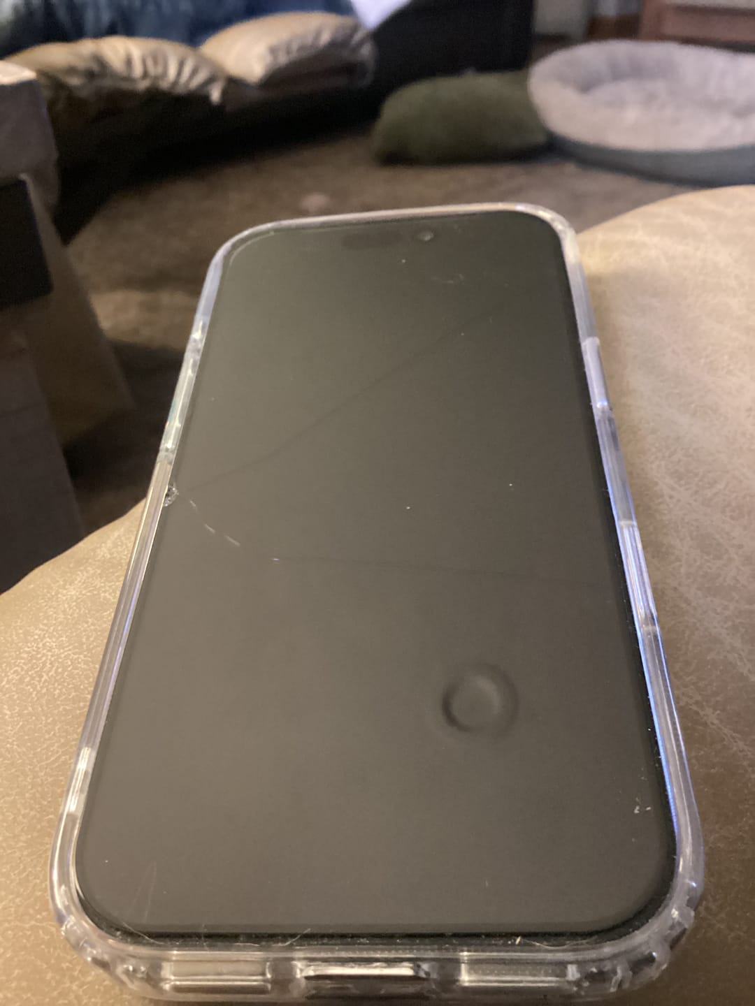 Customer photo review of 3 in 1 Screen Protector - iPhone