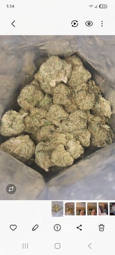 Customer's Double Double Bundle showing a large collection of light green THCA flower buds inside a clear plastic bag.