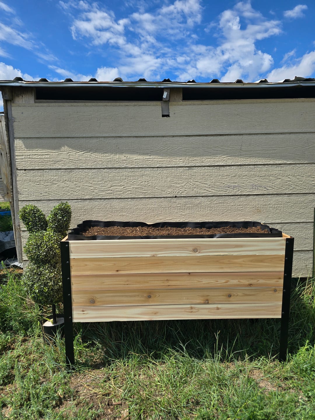 Customer photo review of 18″ x 48″ Deep Root Raised Garden Bed - 30″ TALL - Select Grade