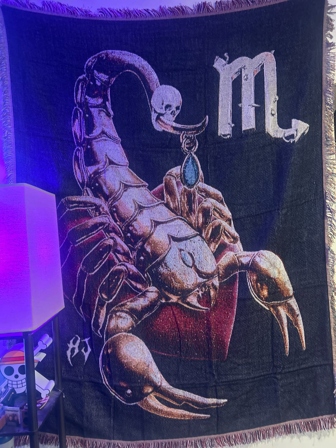 Customer photo review of ZODIAC TAPESTRY
