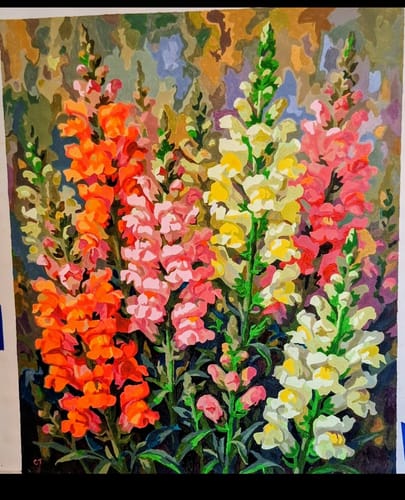 Customer photo review of Snapdragon Spikes Bright (80 Color Paint by Numbers)
