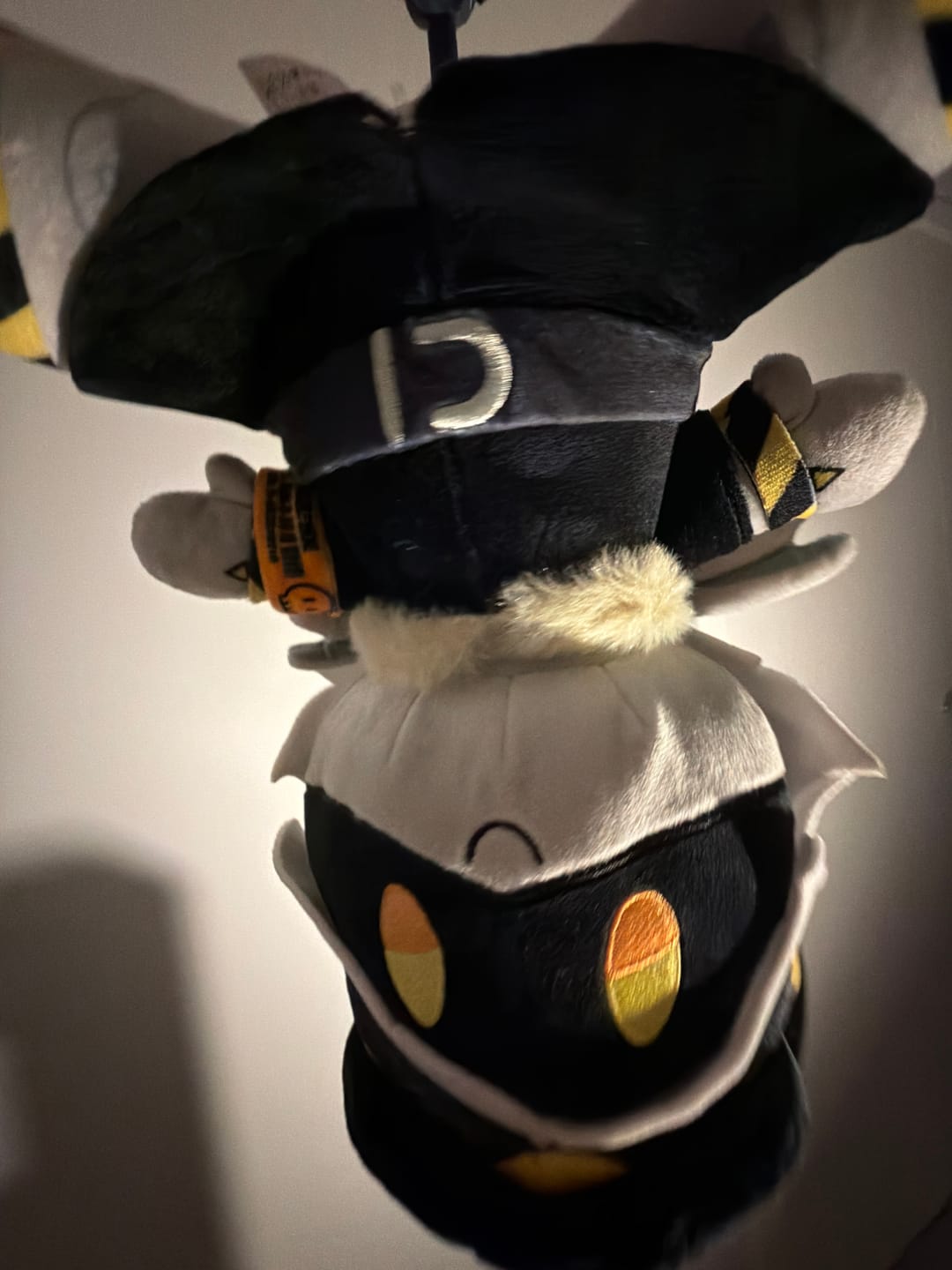 Customer photo review of N Plush