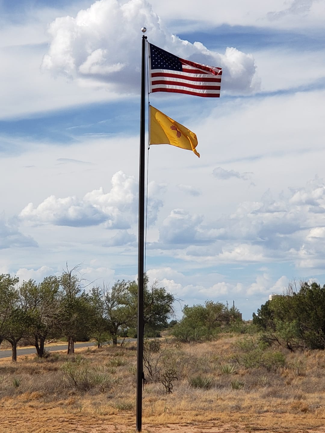 Customer photo review of 4' x 6' American Flag