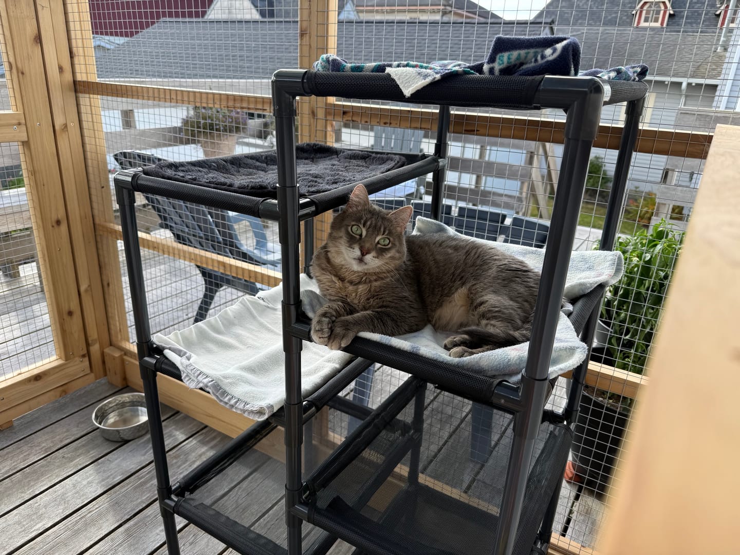 Customer photo review of Durable Cat Tower - Haven