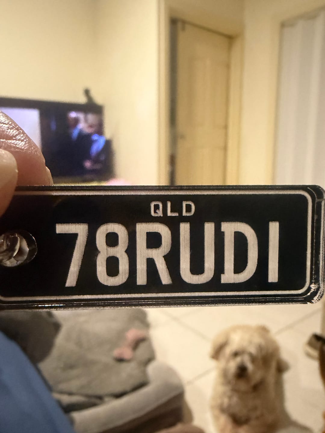 Customer photo review of QLD Classic Licence Plate Custom Keychain