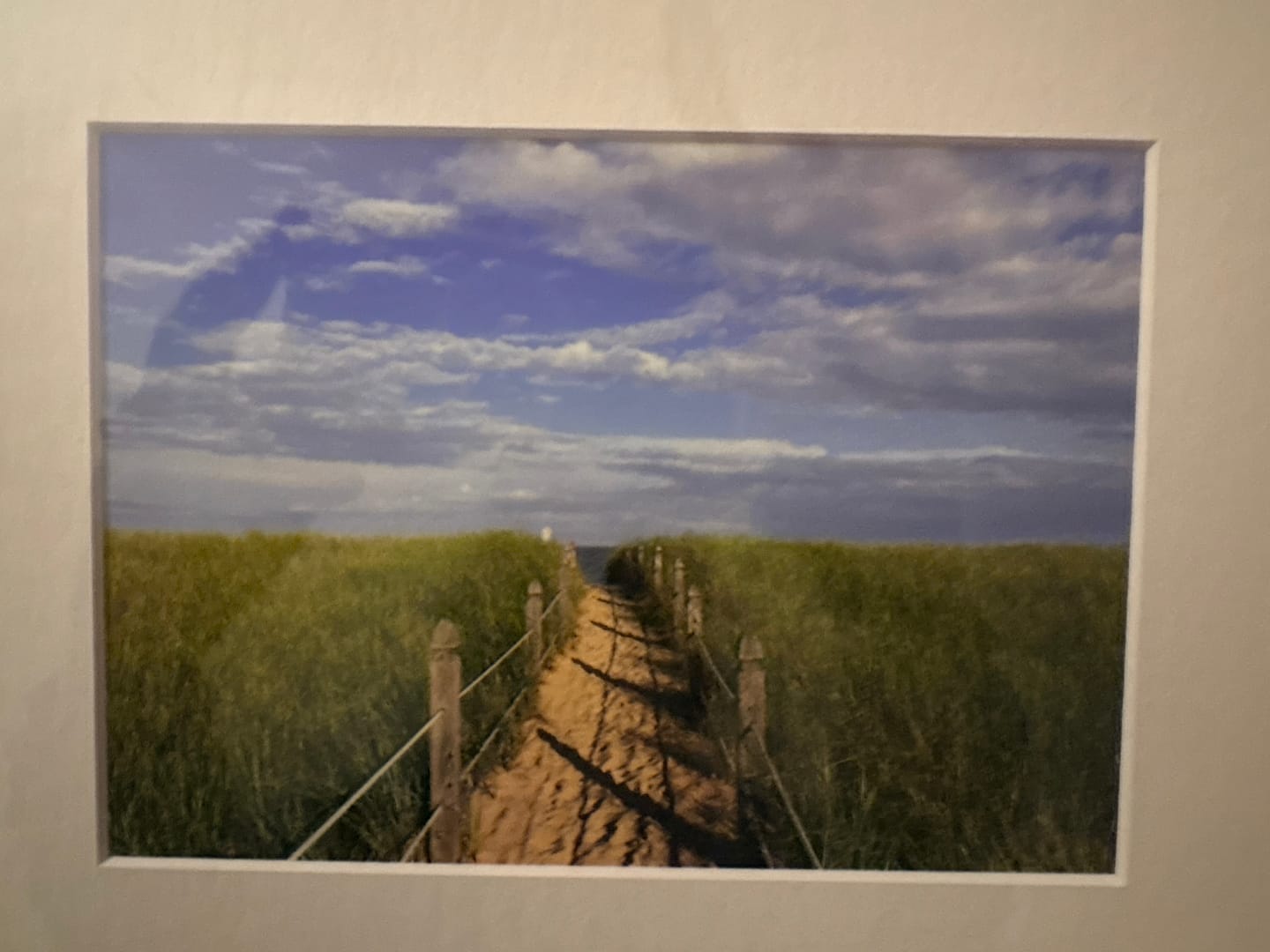Customer photo review of Matting Package Prints