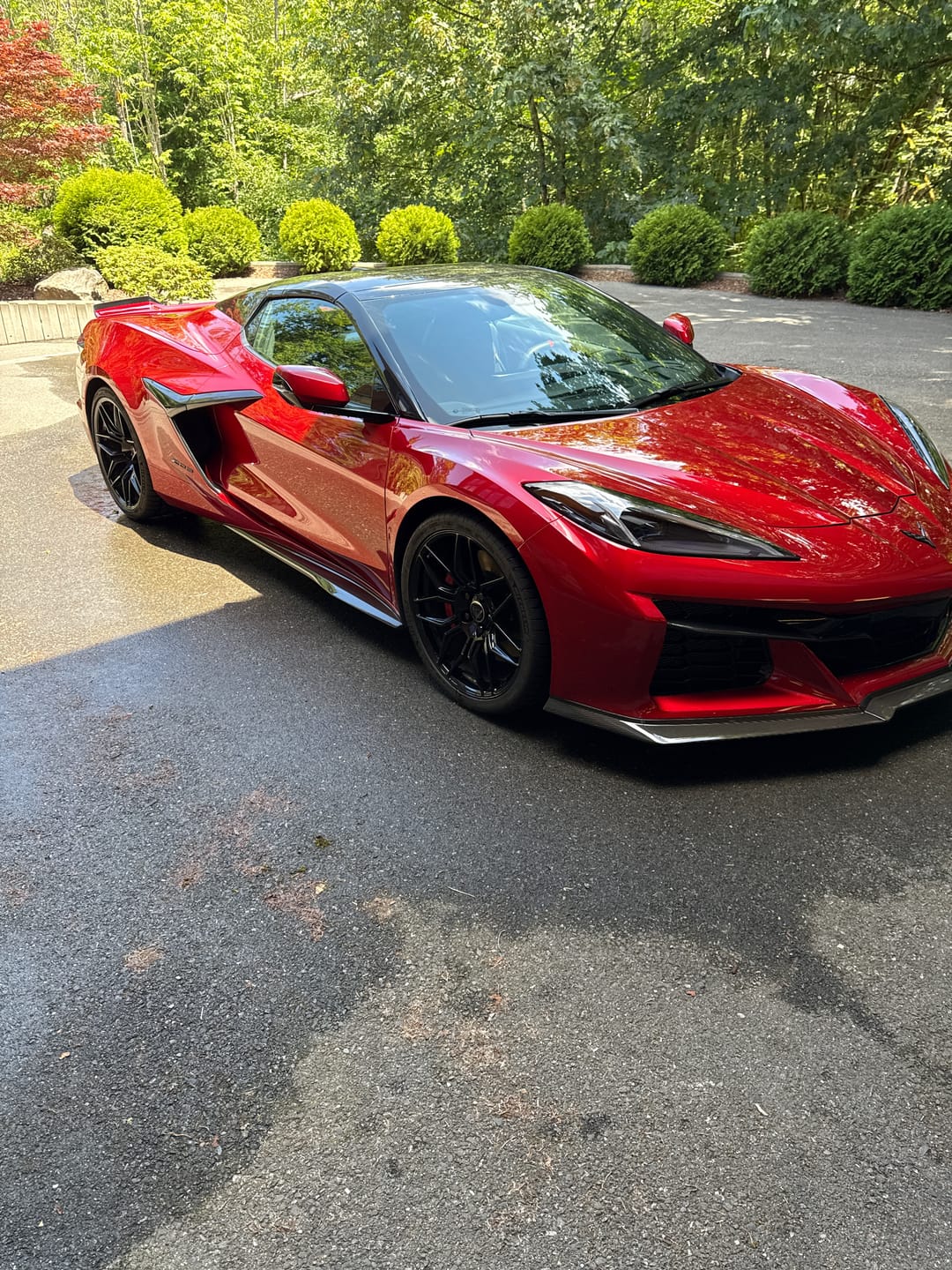 Customer photo review of BLACKLINE® RESET INTERIOR CLEANER & SCENT BOOSTER