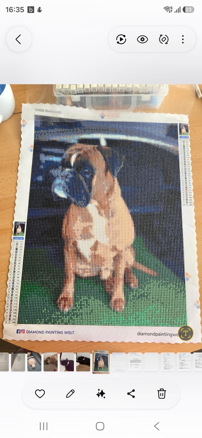 Customer photo review of Diamond Painting eigenes Bild