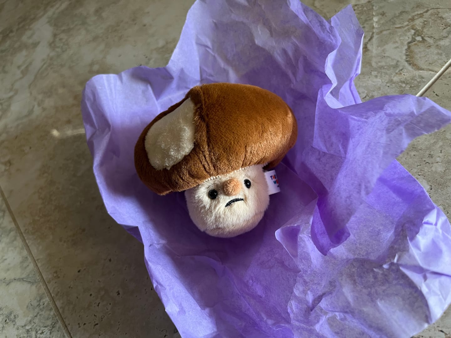 Customer photo review of Forgotten Bitten Shiitake Mushroom