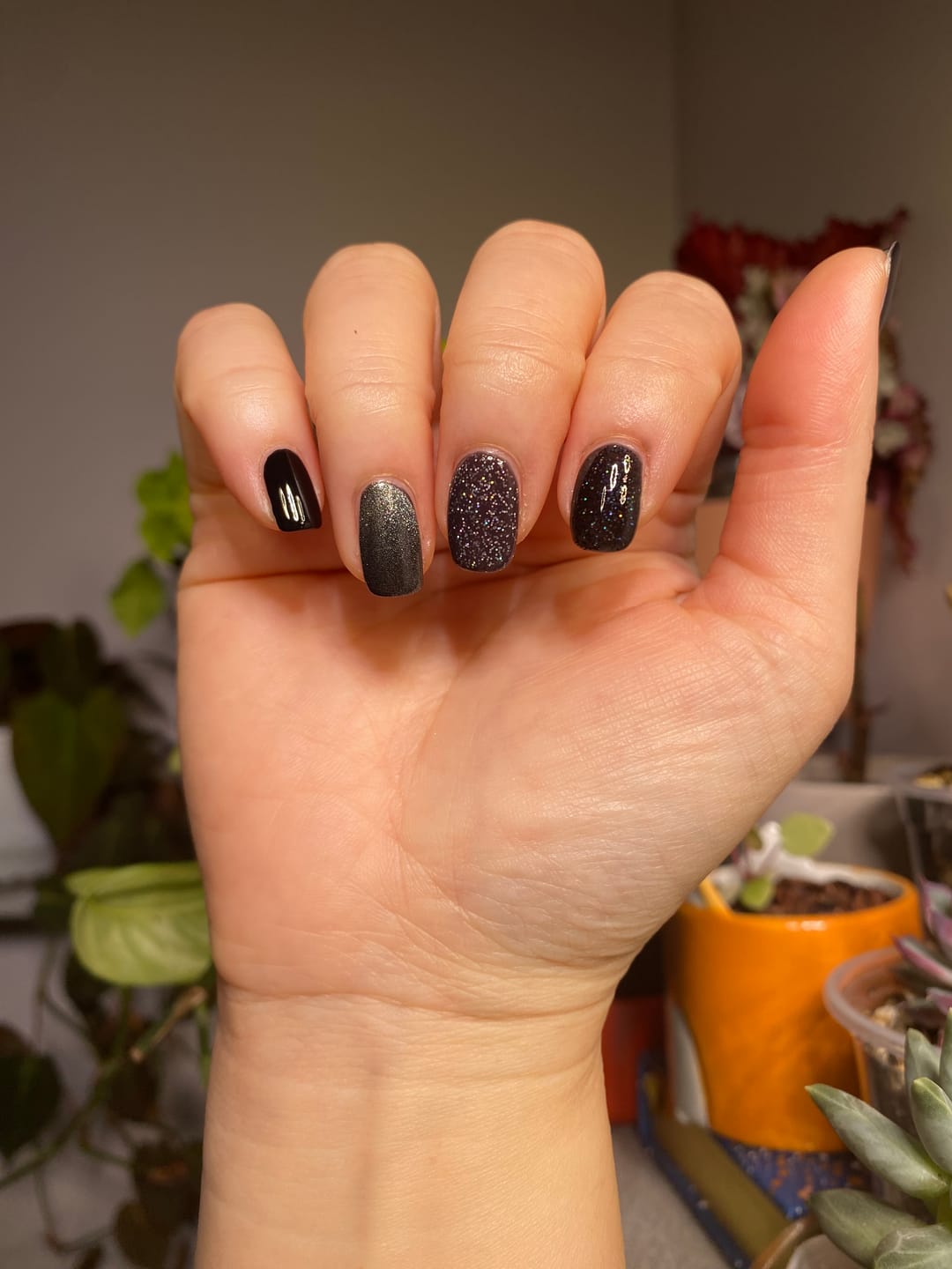 Customer photo review of Nocturne Collection