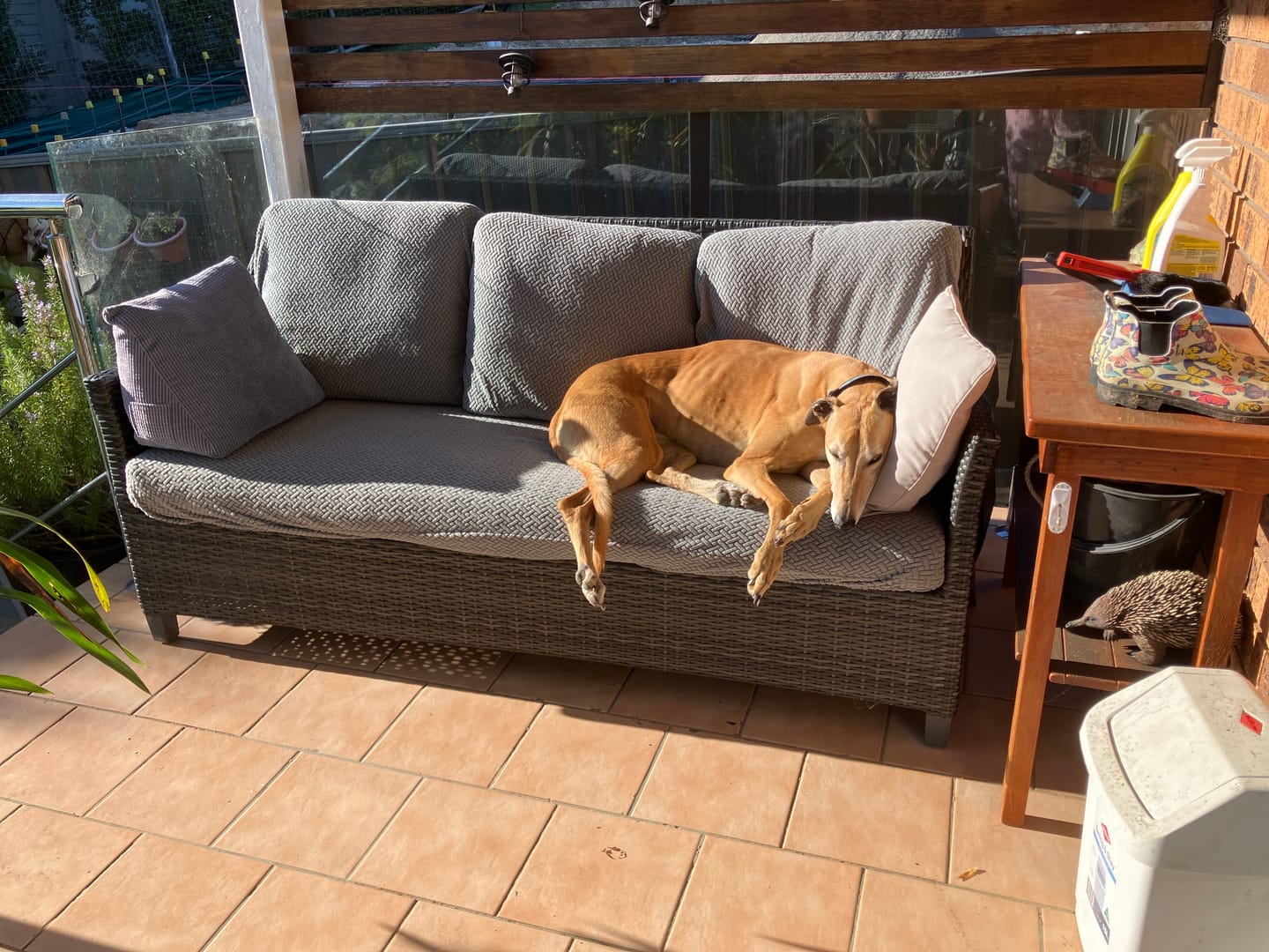 Customer photo review of Couch Covers - Classic