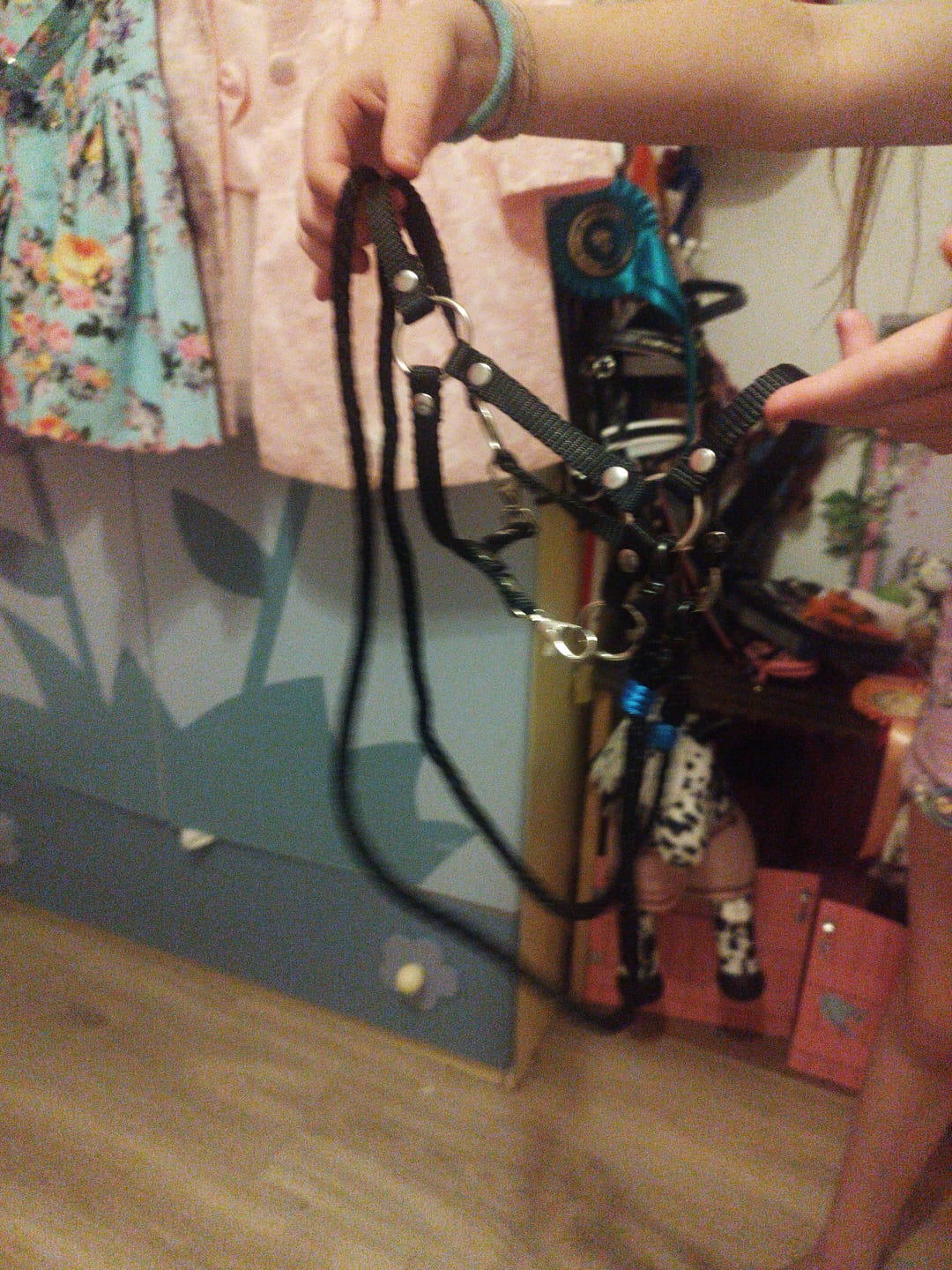 Customer photo review of Hobby Horse Aurora with Black Halter