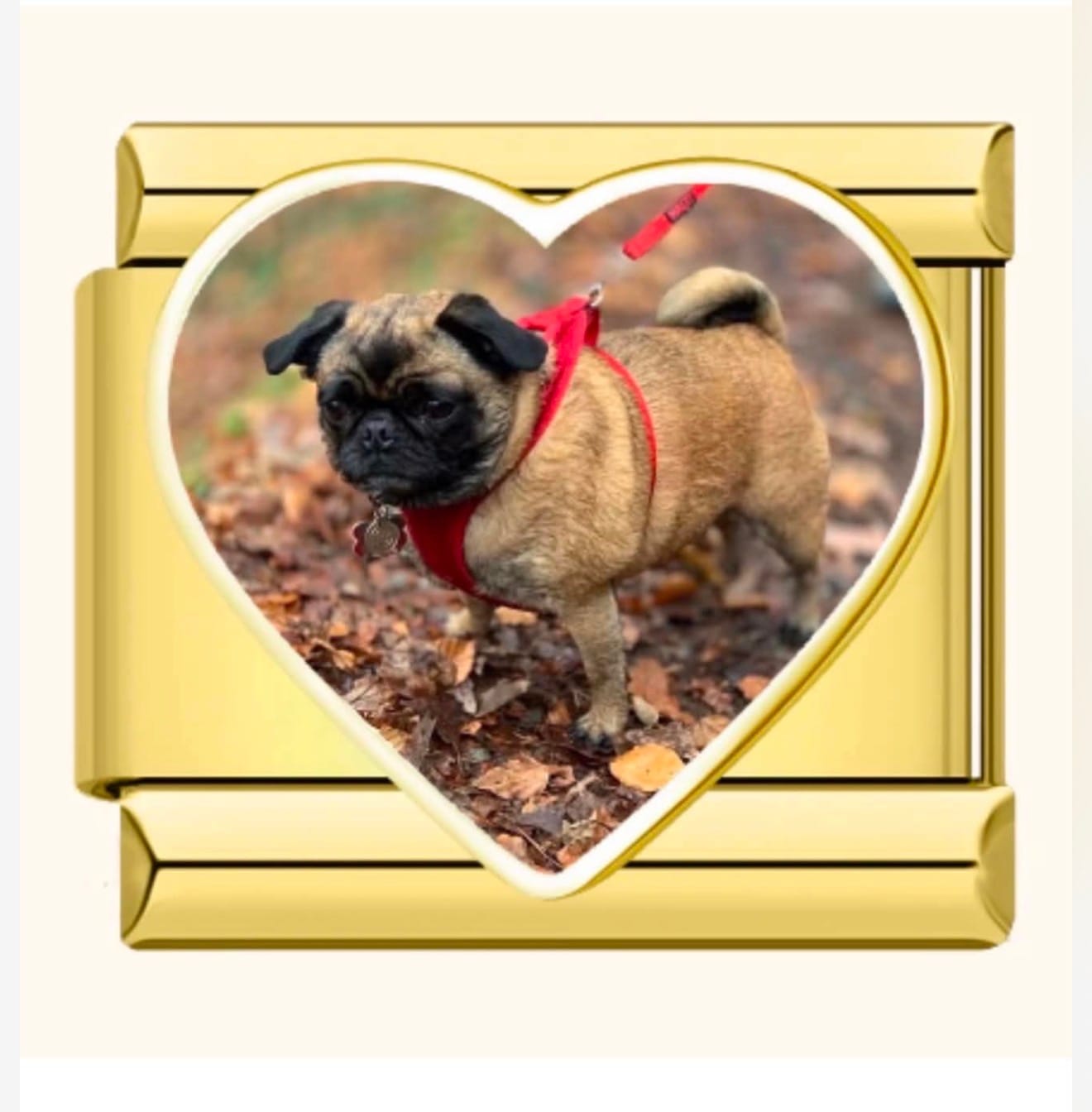 Customer photo review of Custom Charm