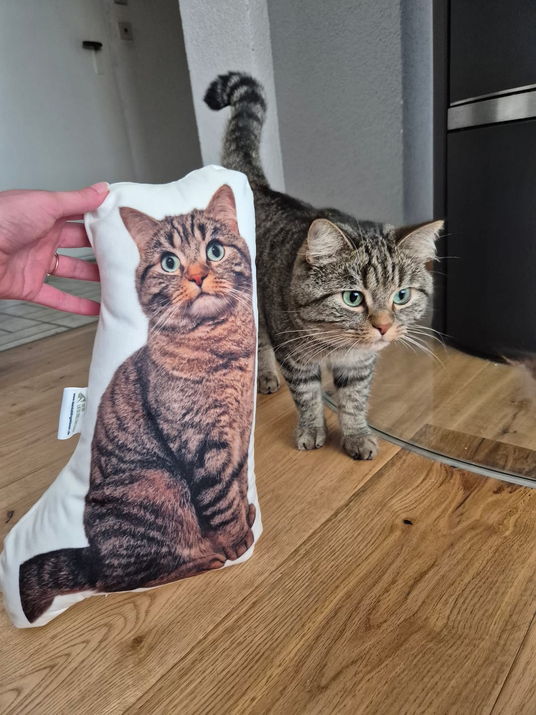 Customer photo review of Personalisiertes Katzenkissen