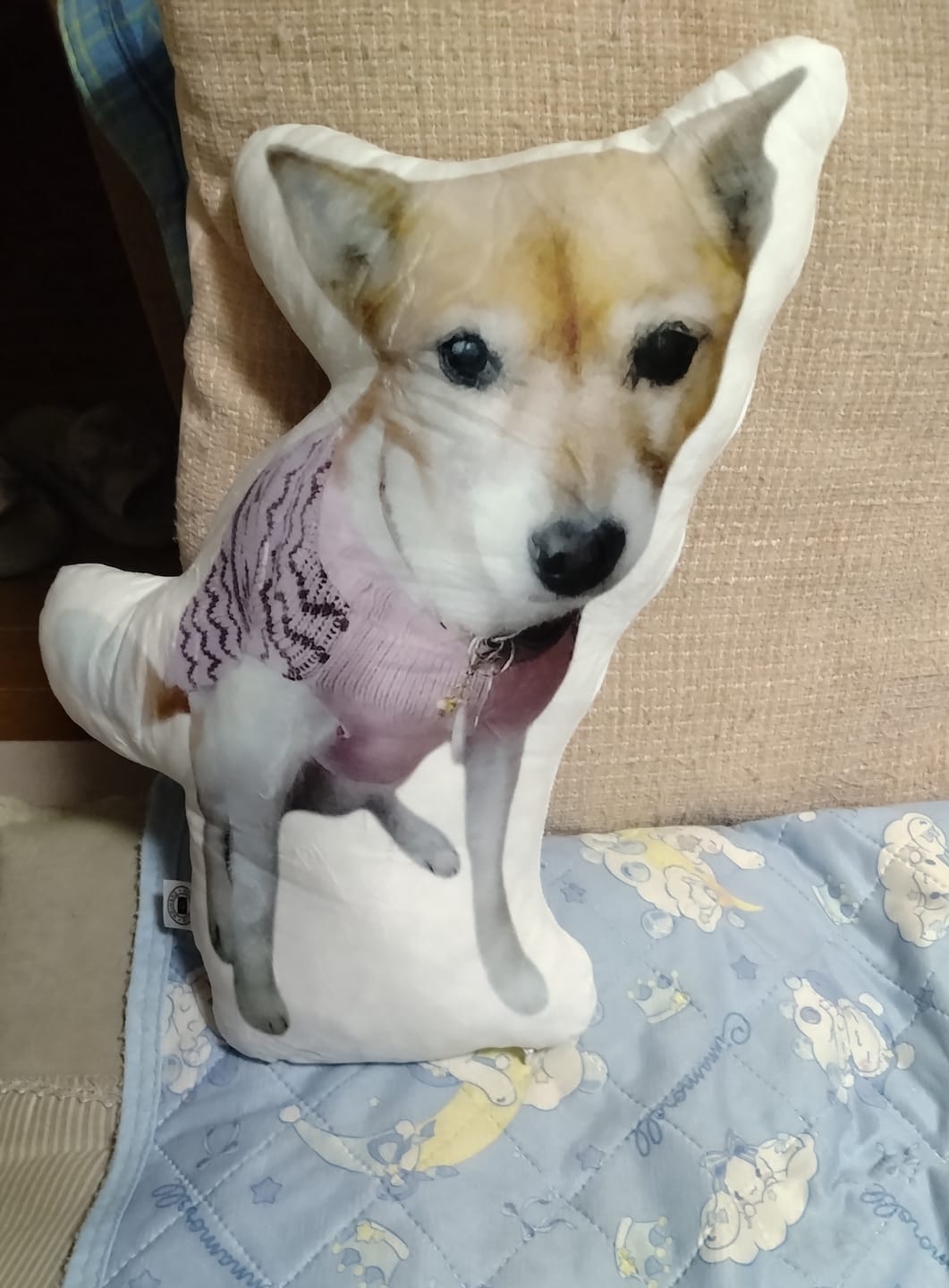 Customer photo review of 世界にひとつだけ♪好きな写真で作るオーダーメイドクッション（20～80cm）