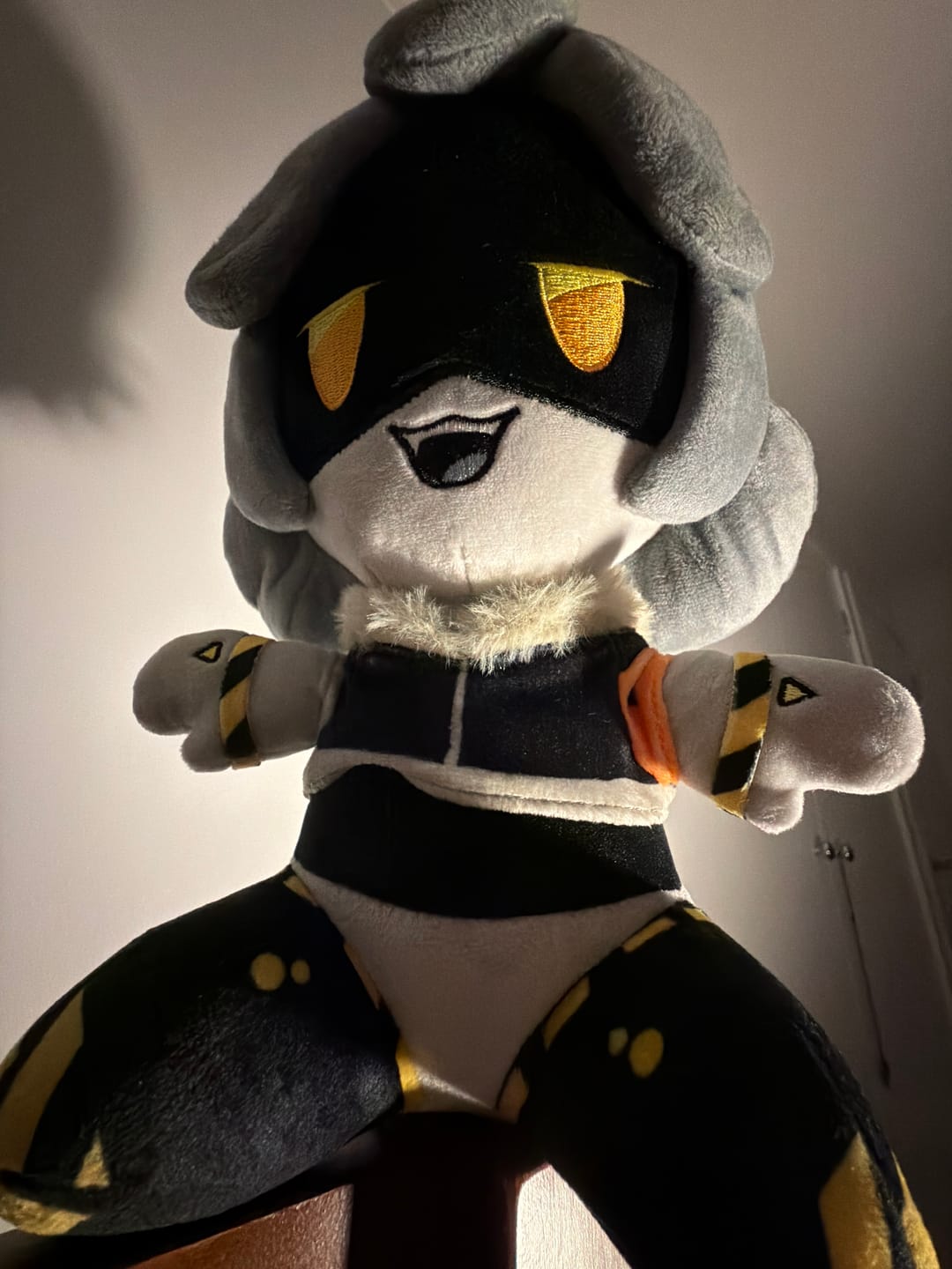 Customer photo review of V Plush