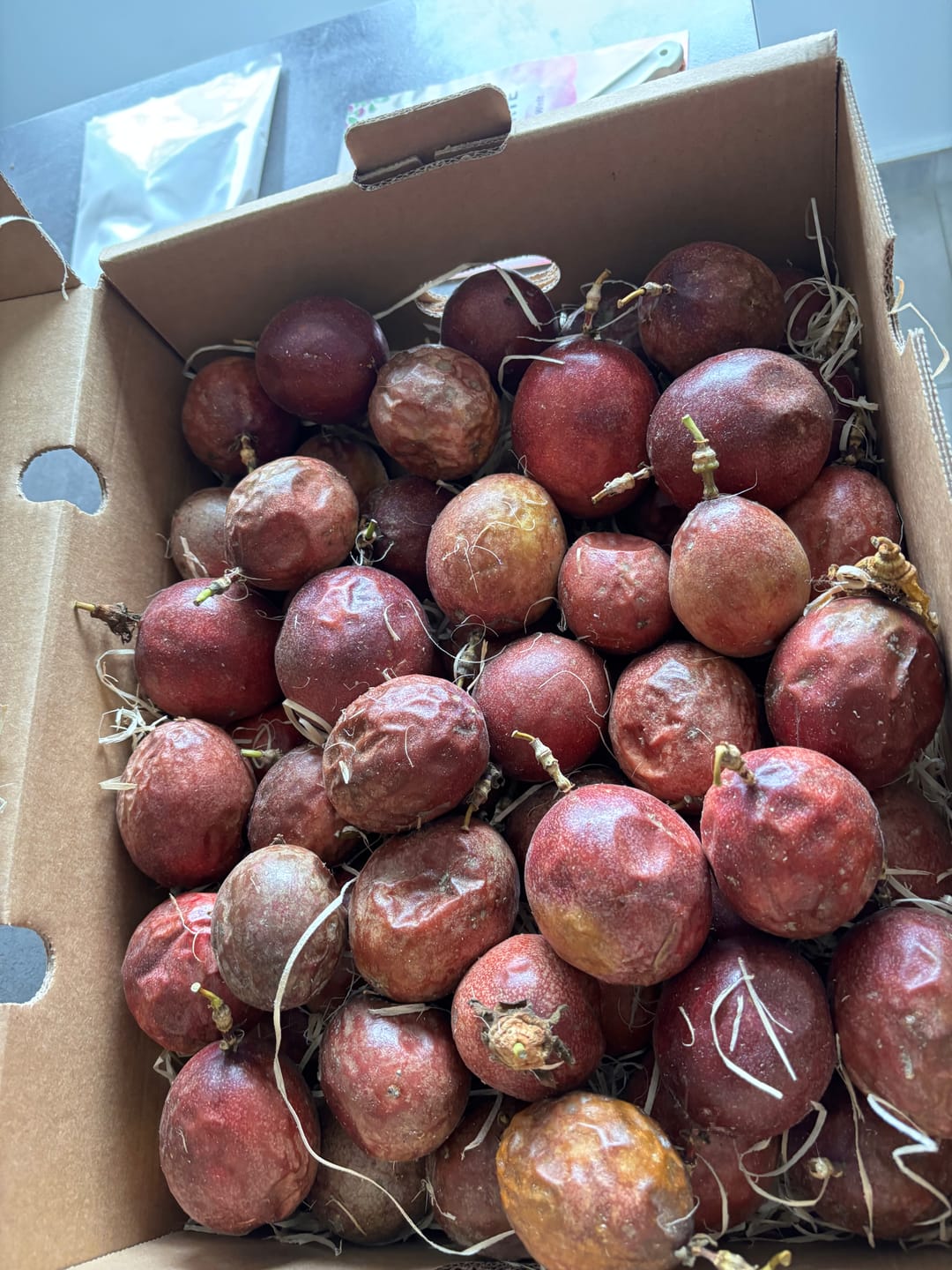 Customer photo review of Passionsfrüchte Bio von Salvador Retteraktion %