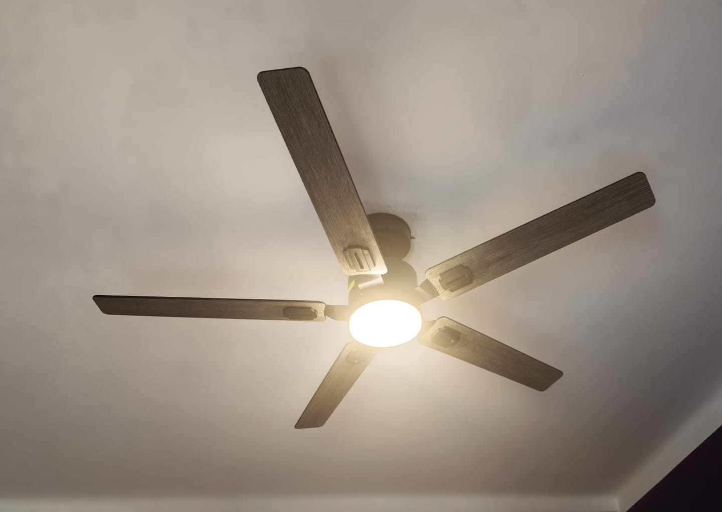 Customer photo review of Ventilador de Techo Elevé Comfort M5 5 Aspas 52 Pulgadas