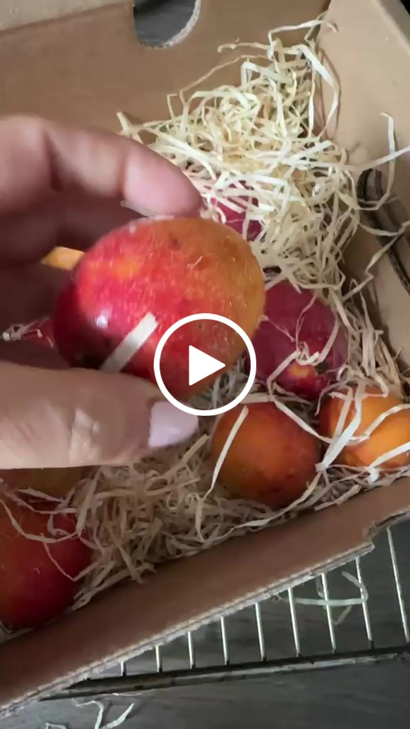 Customer video review of Baby-Mango Irwin Bio von Julian