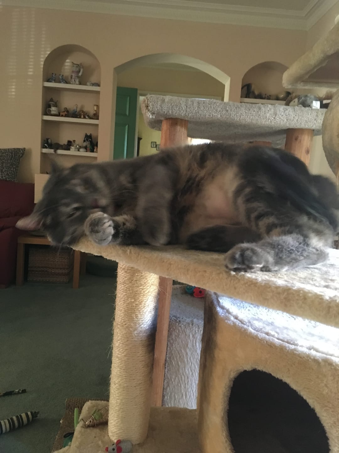 Customer photo review of Cloud Nine Silver Vine - 2 sizes