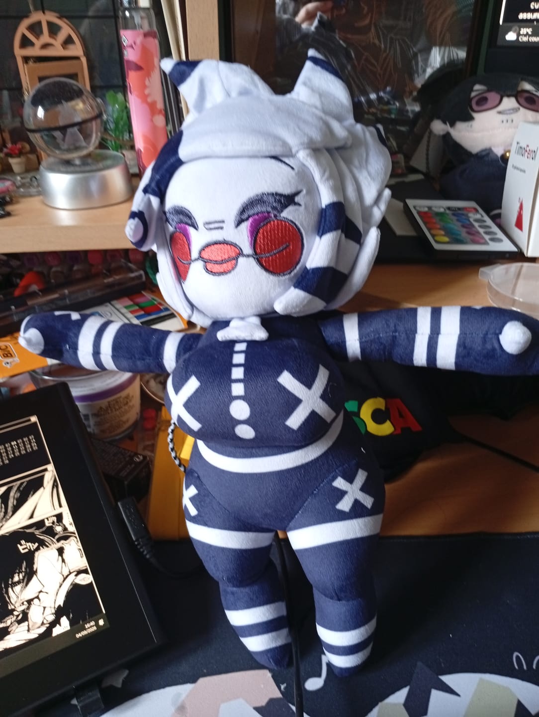 Customer photo review of Original Character (OC) Design Plush