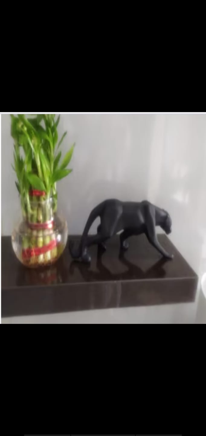 Customer photo review of Black Jaguar Statue – Modern Geometric Animal Sculpture for Home & Office Decor