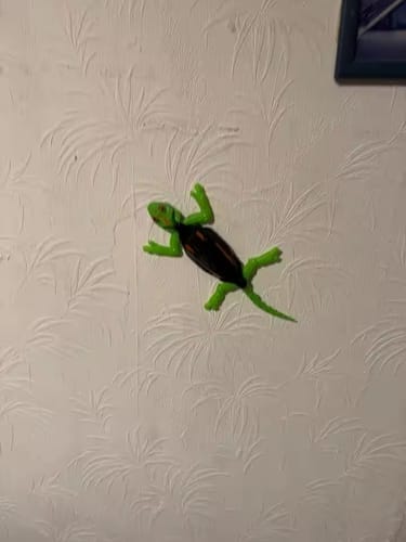 Customer photo review of GeckoCrawler™ – Wall, Ceiling & Floor RC Lizard