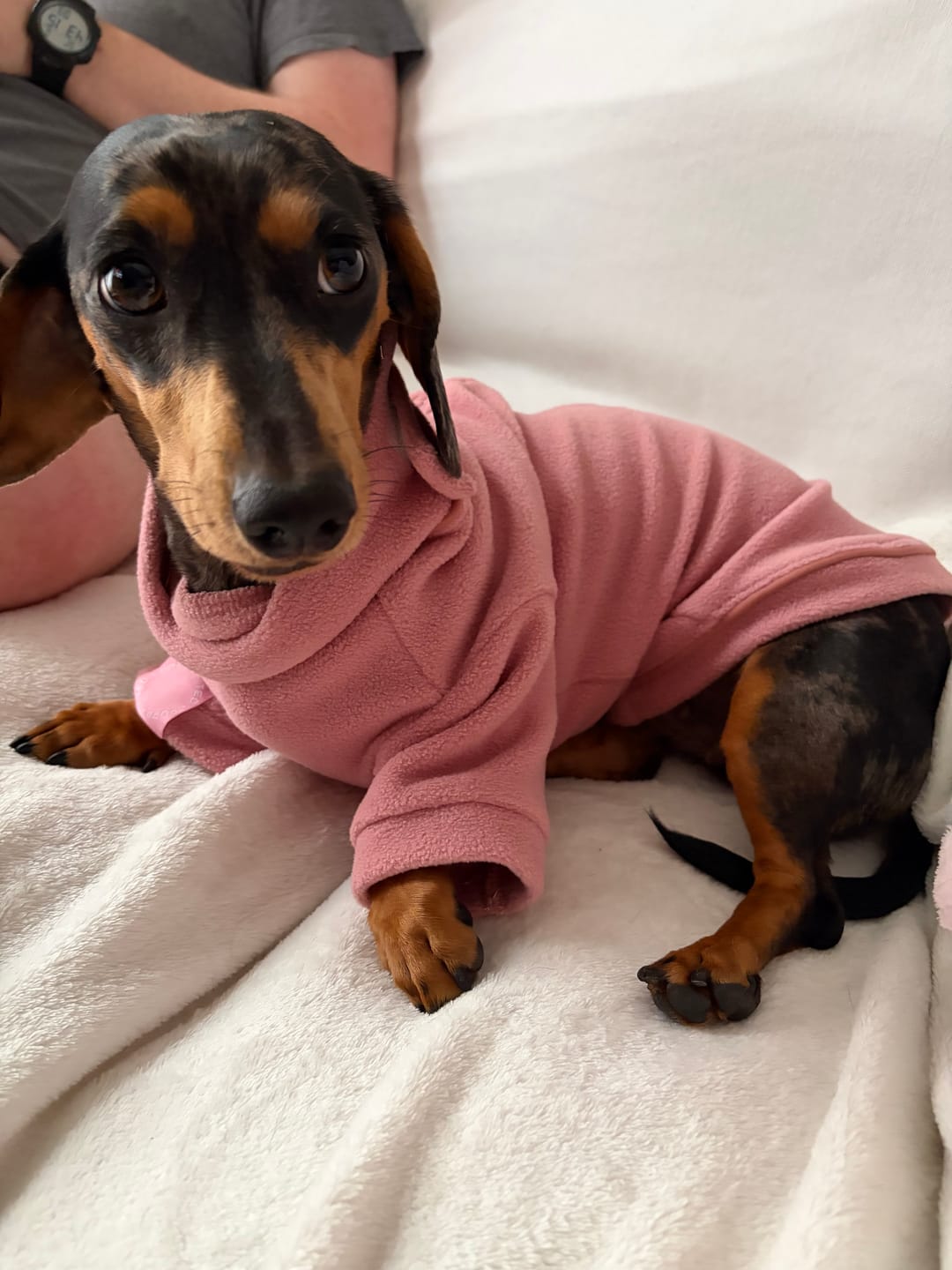 Customer photo review of Cosy Dog Fleece Jumper - Zip Up / Step in Style | Rose Pink