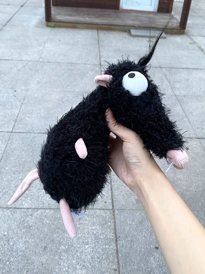 Customer photo review of Bill Mouse