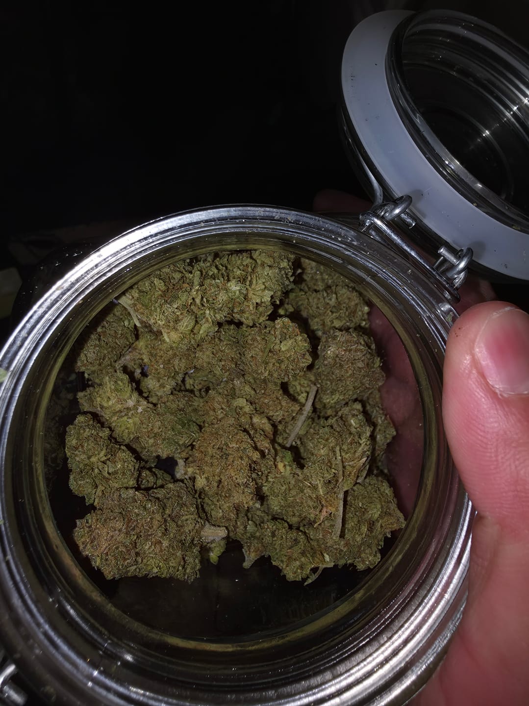 Customer photo review of Oakland Runtz - 28 Grams - Indica