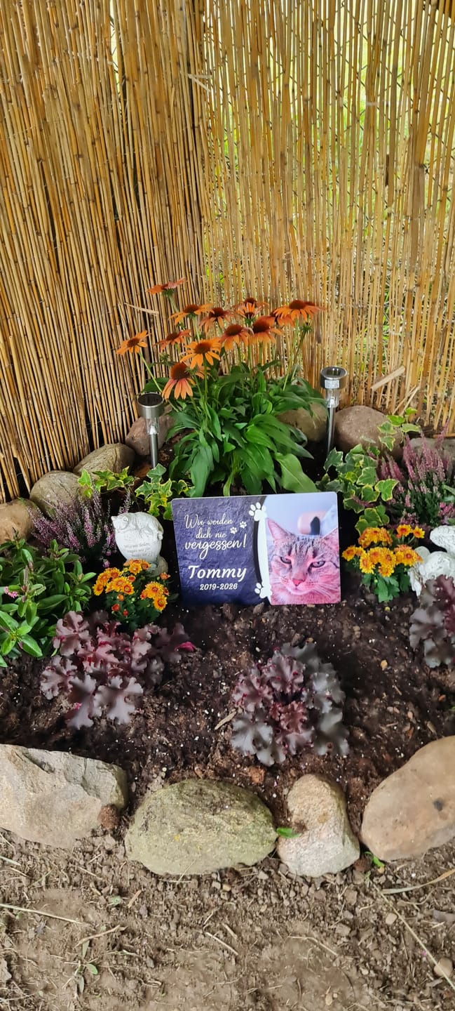 Customer photo review of Katzen Gedenktafel mit Foto & Spruch (UV- & Wetterfest)
