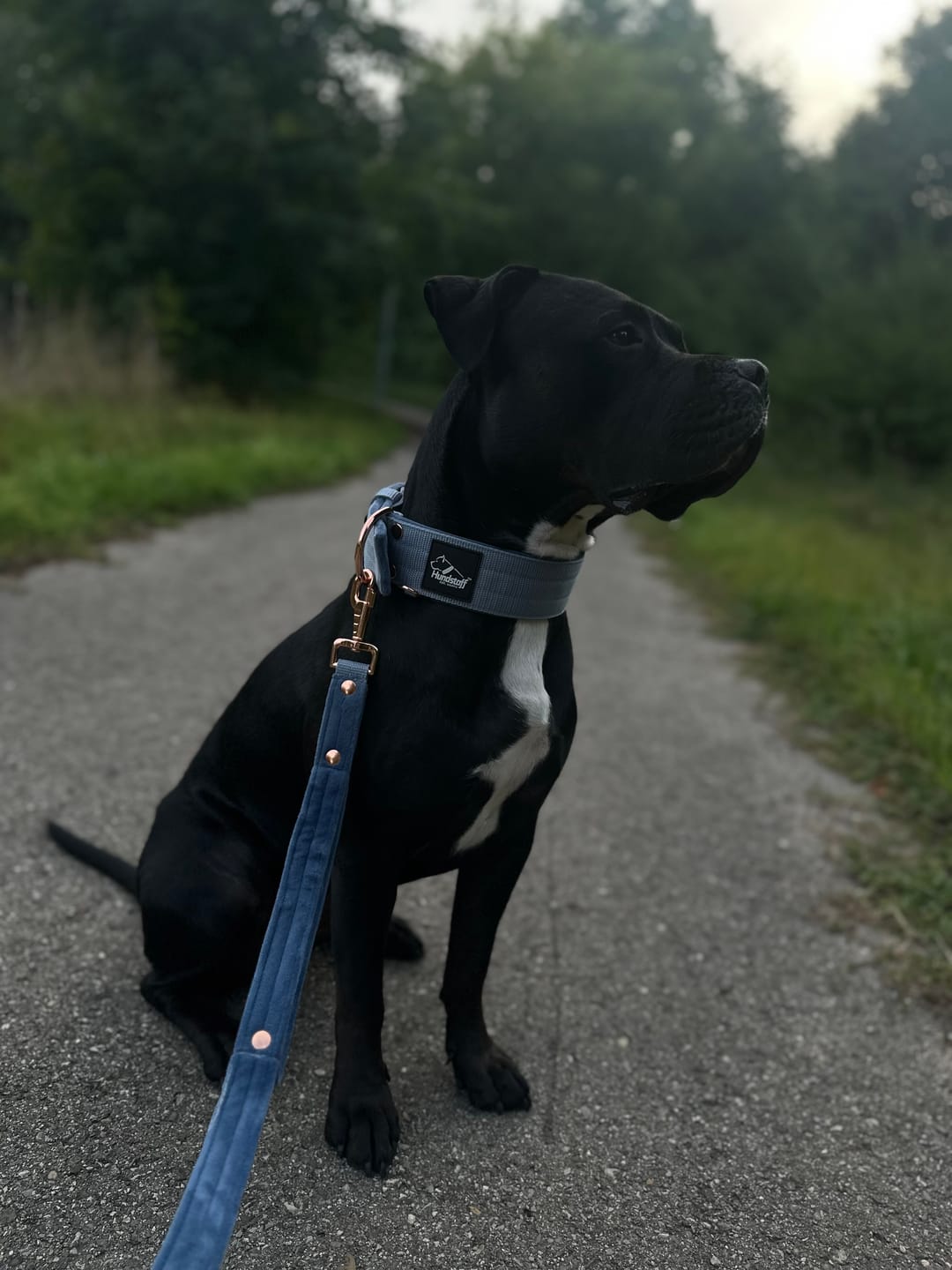 Customer photo review of SALE Guard Leash Rose Edition Pastel Blue, 160cm, Pistol hook Rose