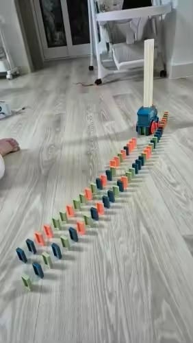 Customer photo review of Domino Express™ – Automatic Domino-Laying Train Set