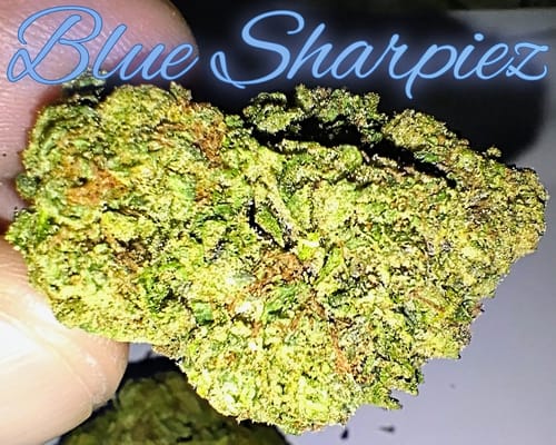 Customer photo review of Blue Sharpiez THCA Flower