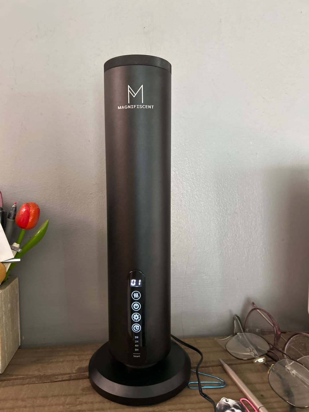 Customer photo review of LumaMax – The Most Premium Waterless Diffuser on the Market