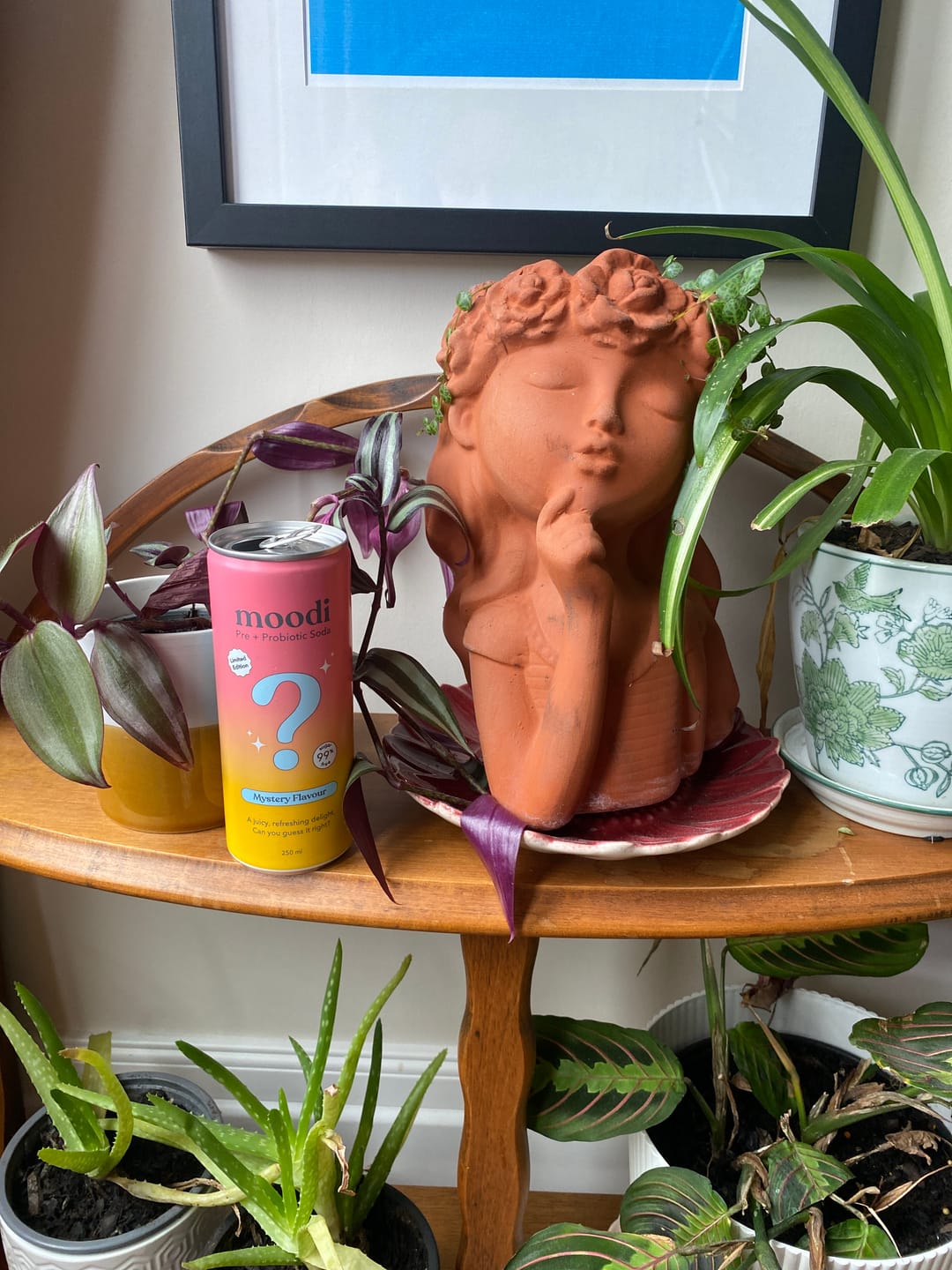 Customer photo review of Pre + Pro Soda