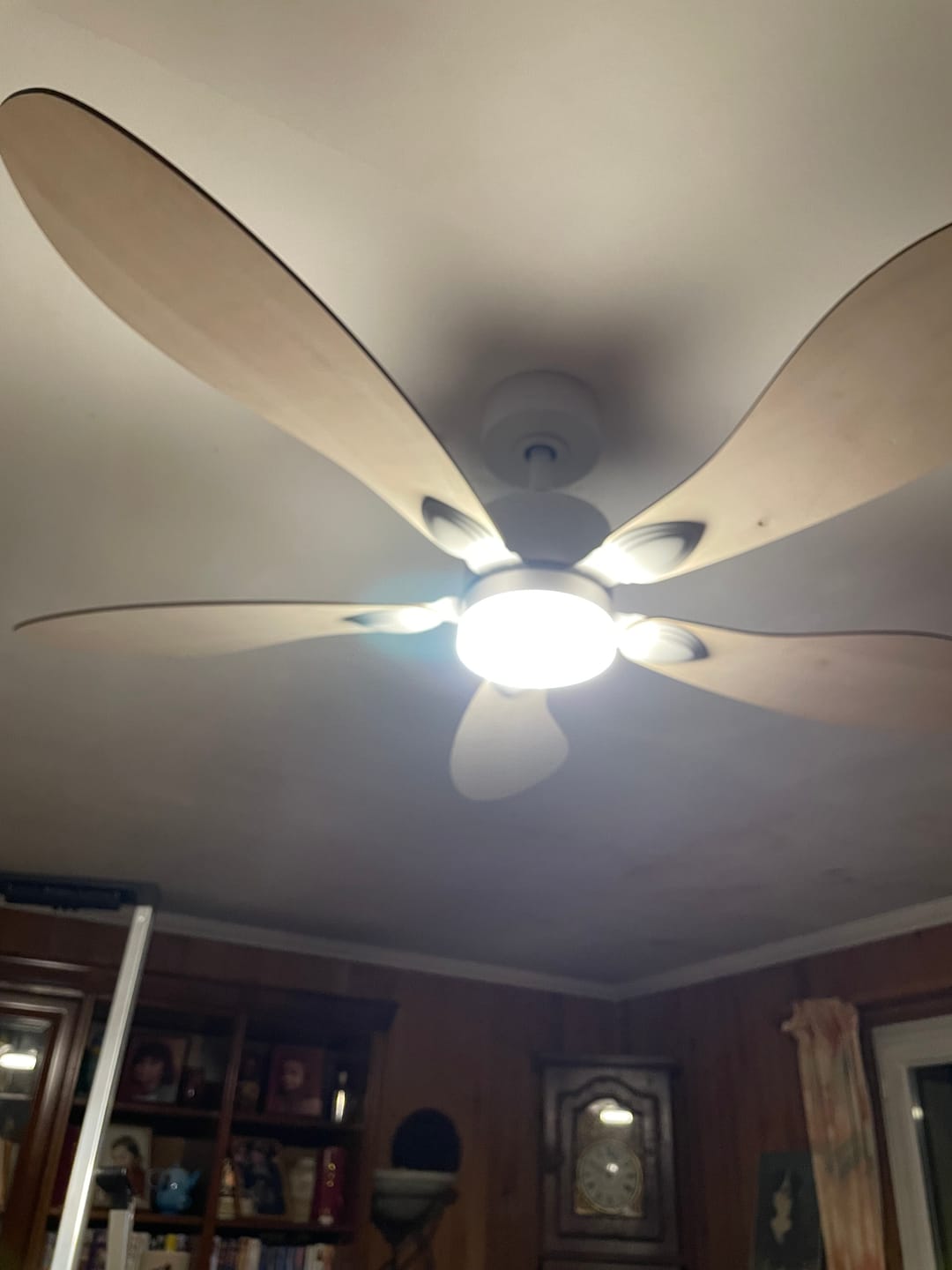 Customer photo review of Libellule | Ventilateur de plafond